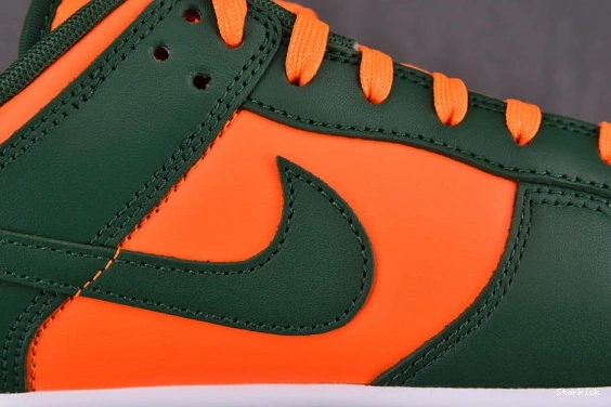 Low Miami Nike Dunk Hurricanes DD1391-300 0118